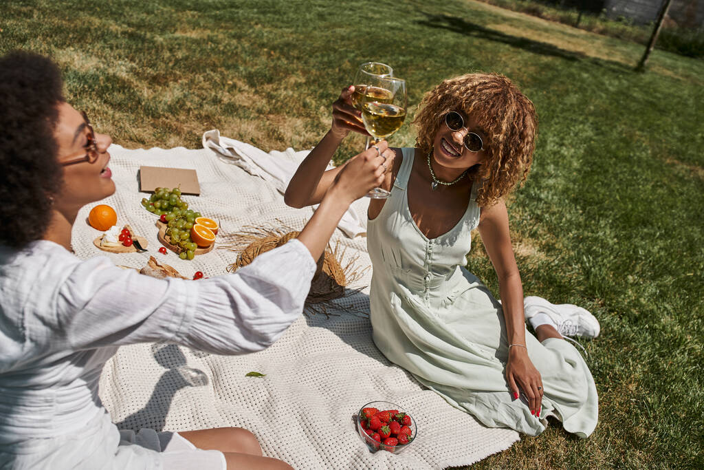 афроамериканські жінки смердять винні окуляри, відпочиваючи на літньому пікніку в парку, банер - Фото, зображення