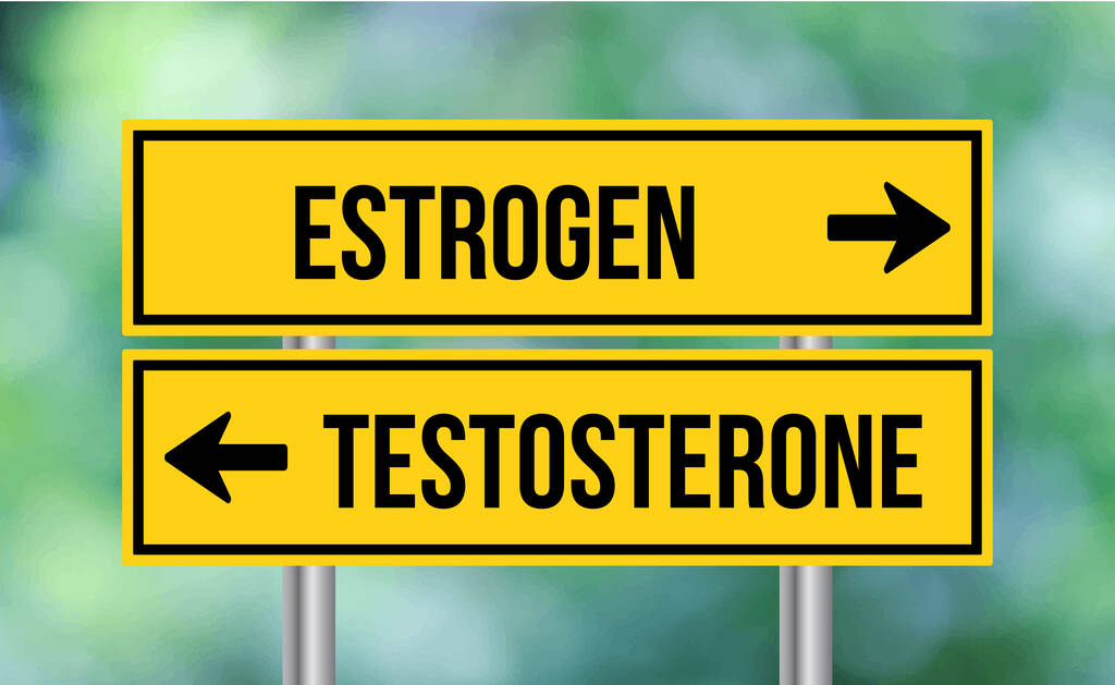 Estrogen or testosterone road sign on blur background - Photo, Image