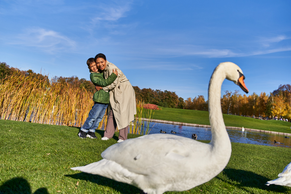 positivo afro-americano mãe e filho em outerwear olhando para cisnes perto lagoa no parque, outono - Foto, Imagem