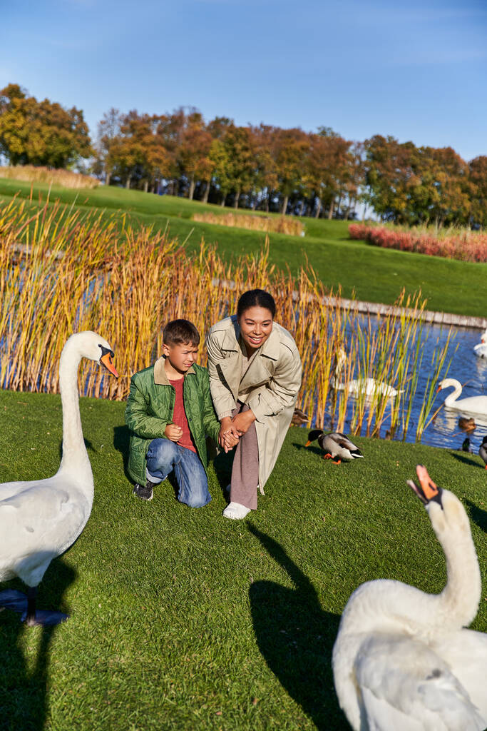 cheerful african american woman in outerwear hugging son and gesturing near white swan in park - Photo, Image