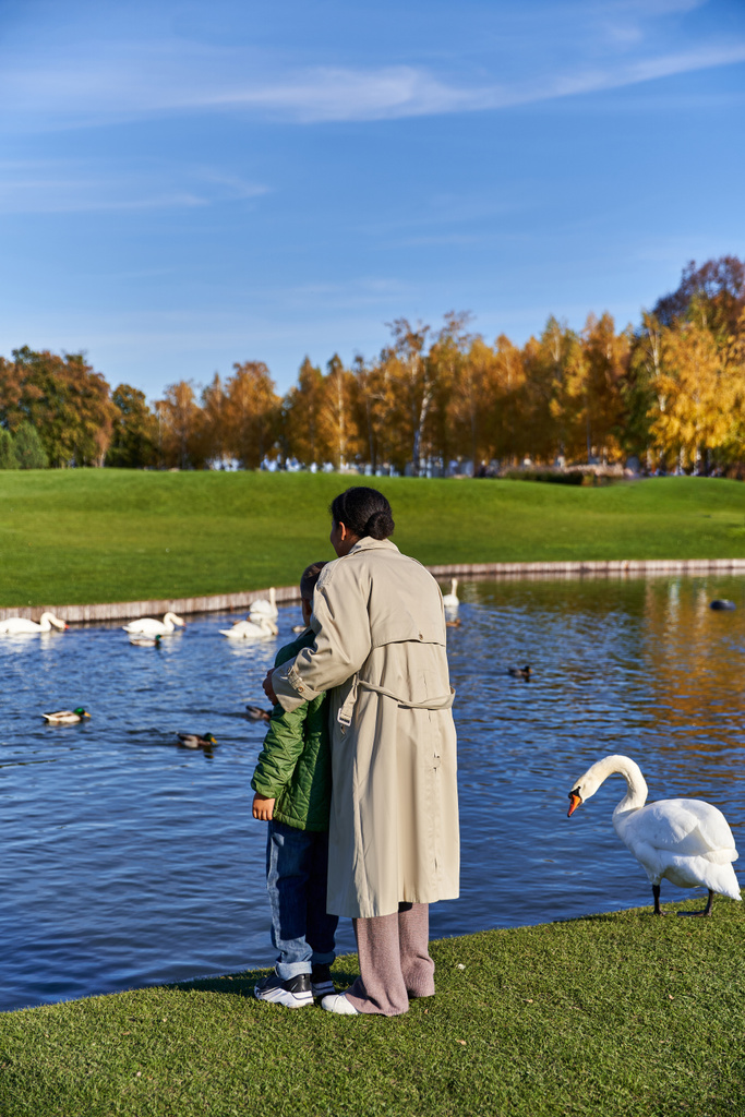 back view, afro-americana mulher e filho em outerwear em pé perto de cisnes na lagoa, temporada de outono - Foto, Imagem