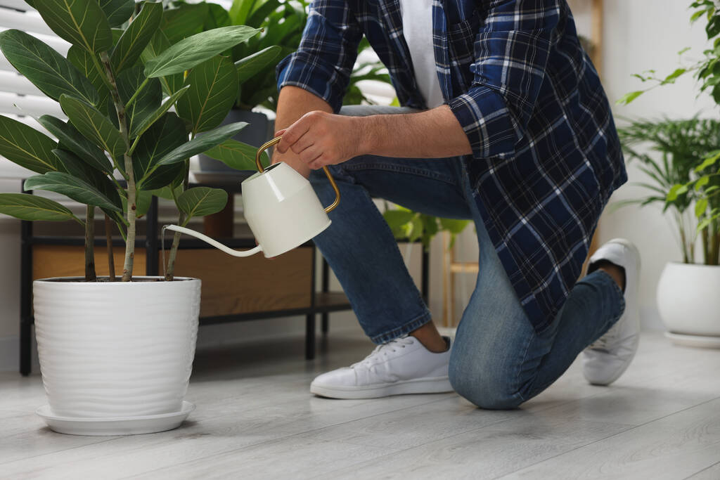 Homem molhando belas plantas de sala em vaso dentro de casa, close-up - Foto, Imagem