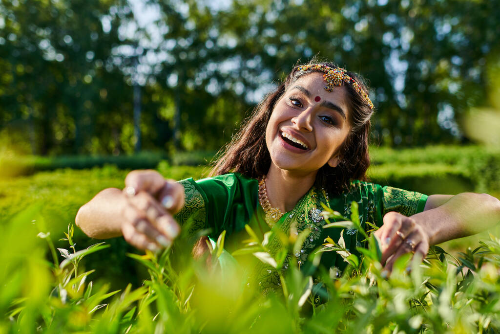 positive young indian woman in green sari touching bushes and looking at camera in park - Photo, Image