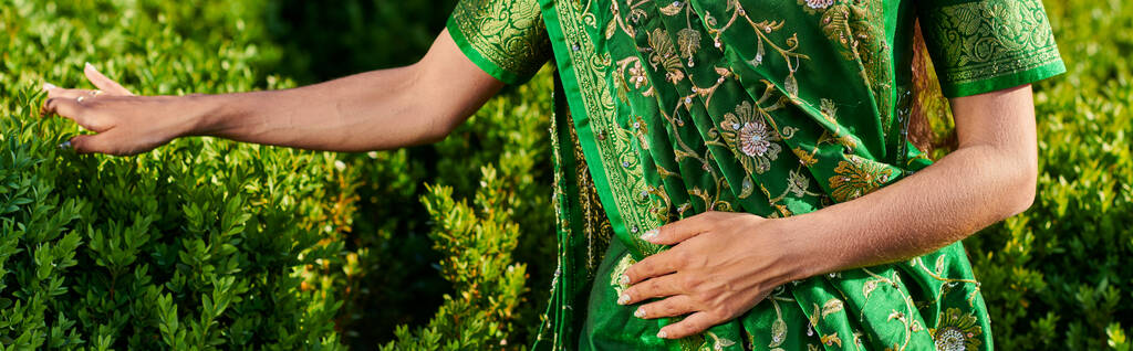 visão parcial da jovem mulher em sari verde com padrão em pé perto de plantas no parque, bandeira - Foto, Imagem