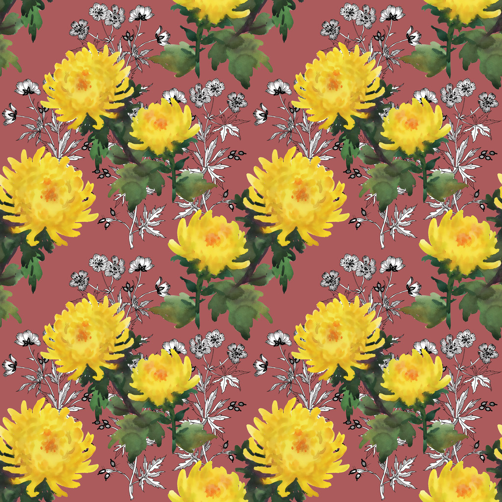 Patrón de flores de crisantemo amarillo
 - Foto, Imagen