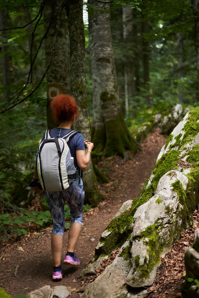 Sırt çantalı bir kadın dağ ormanında yürüyüş yapıyor. - Fotoğraf, Görsel