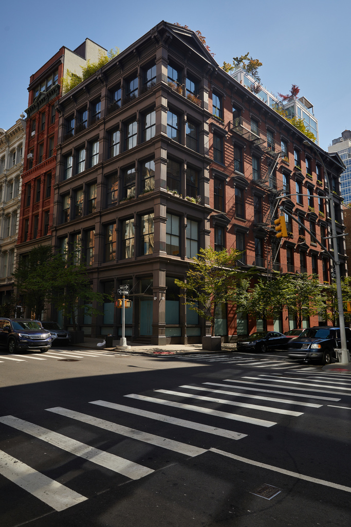 graues Gebäude und Herbstbäume an Kreuzung mit Verkehr und Fußgängerüberweg in New York City - Foto, Bild