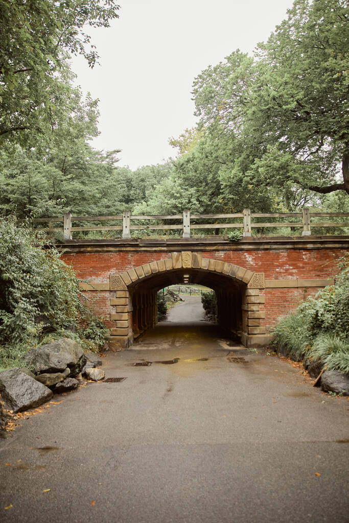 ponte in pietra con tunnel e alberi con fogliame autunnale nel parco centrale della città di New York, scena autunnale - Foto, immagini