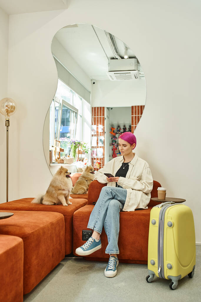 femme aux cheveux violets avec smartphone près de spitz poméranien et valise dans le salon confortable de l'hôtel pour animaux de compagnie - Photo, image