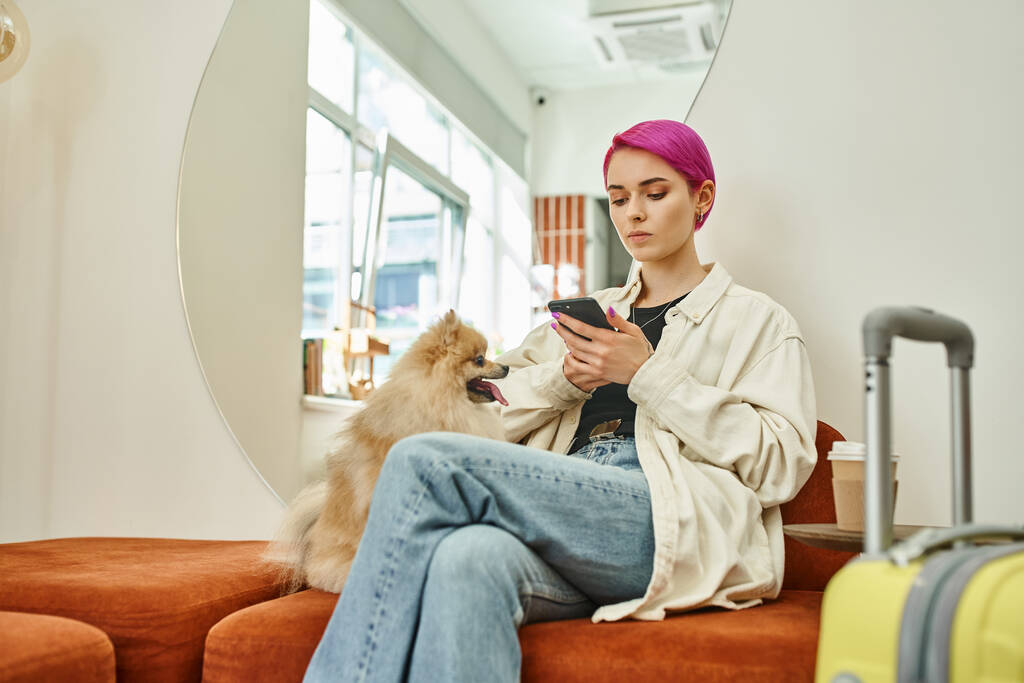 femme avec réseau de coiffure à la mode sur smartphone près de spitz poméranien dans l'hôtel pour animaux de compagnie moderne - Photo, image