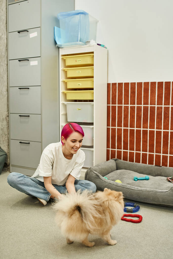 joyful dog sitter playing on floor with funny pomeranian spitz in pet hotel, fun and interaction - Fotografie, Obrázek