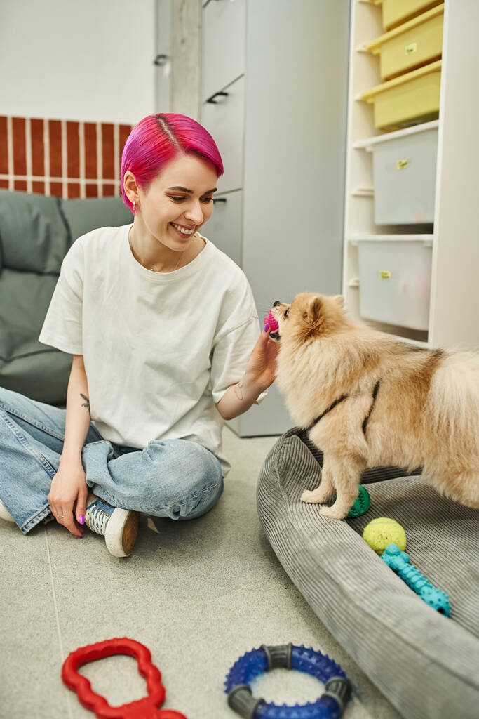 joyeux animalier tenant jouet et jouant avec spitz poméranien poilu dans un hôtel de chien confortable - Photo, image