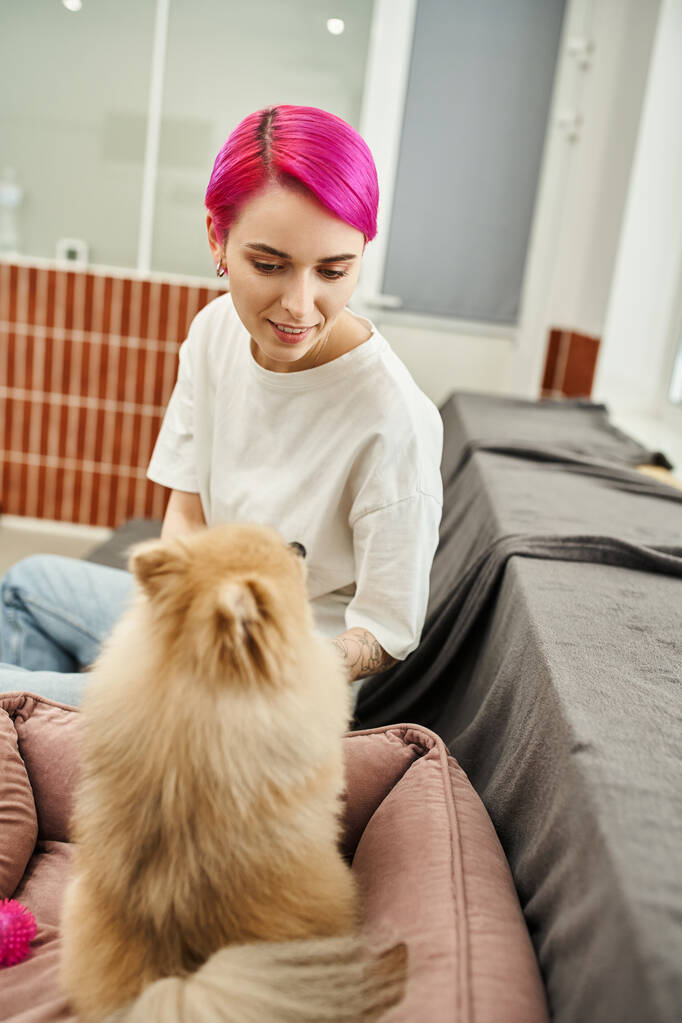 sonriente trabajador del hotel de mascotas mirando perrito esponjoso en acogedor hotel de mascotas, cuidado y afecto - Foto, imagen