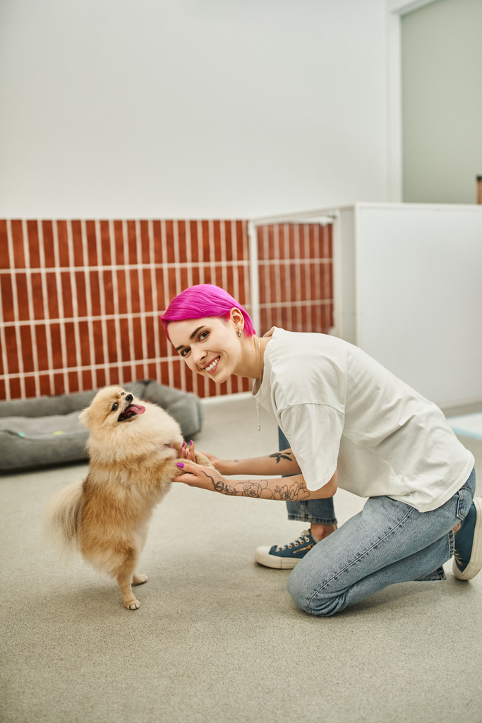 Lächelnder Hundesitter mit verspielten Pommernspitzen auf den Pfoten und Blick in die Kamera im Haustierhotel - Foto, Bild