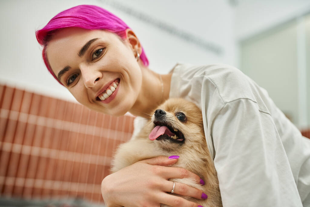 χαρούμενα μωβ μαλλιά γυναίκα αγκαλιάζει αξιολάτρευτο σκυλάκι στο ξενοδοχείο κατοικίδιων ζώων, την αγάπη του κατοικίδιου ζώου μια νταντά σκυλιών - Φωτογραφία, εικόνα