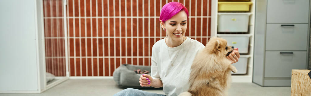 glückliche Hundetrainerin füttert verspielte Pommernspitzen beim Gehorsamsunterricht im Haustierhotel, Banner - Foto, Bild
