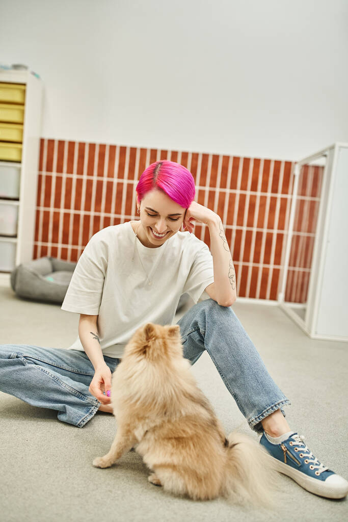 mujer feliz con el pelo morado sentado en el suelo cerca de pomeranian spitz en hotel de mascotas, amoroso perro niñera - Foto, imagen