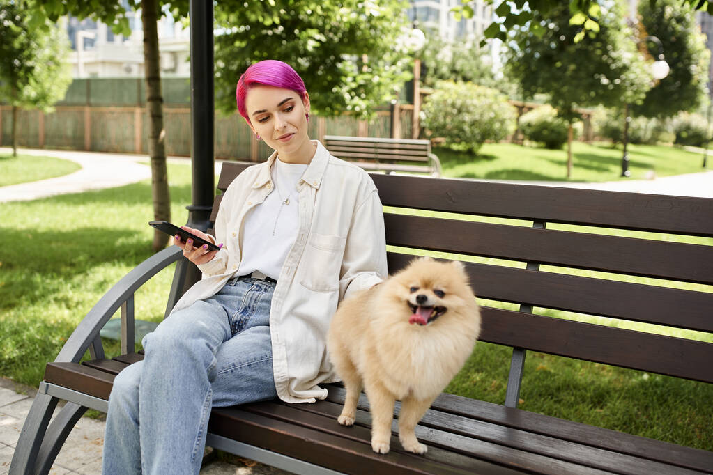 Lustige Pommernspitze steht auf Bank neben stylischer lila-haariger Frau mit Smartphone - Foto, Bild