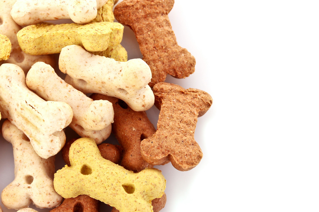 ξηρά τροφή για σκύλους σε οστά σχήματα που απομονώνονται σε λευκό - Φωτογραφία, εικόνα