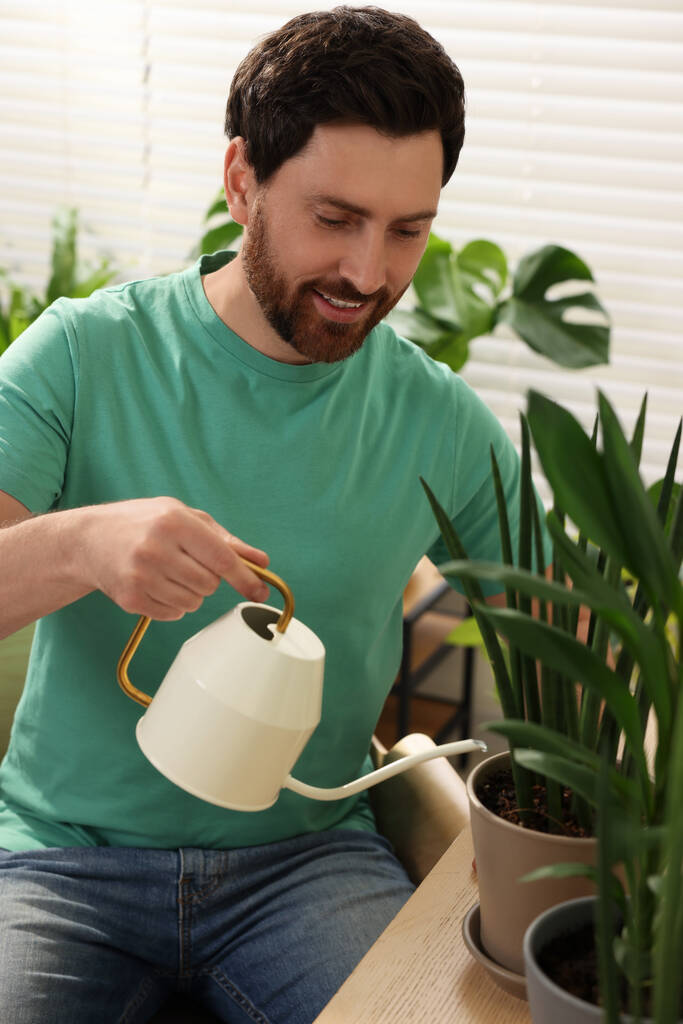 Man watering beautiful potted houseplants at home - Photo, Image