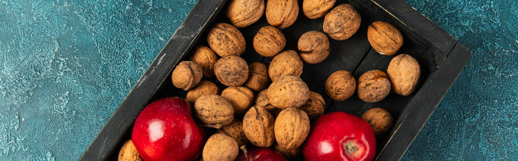 спелые яблоки и целые грецкие орехи в черном деревянном подносе на голубой текстурированной поверхности, День благодарения, баннер - Фото, изображение
