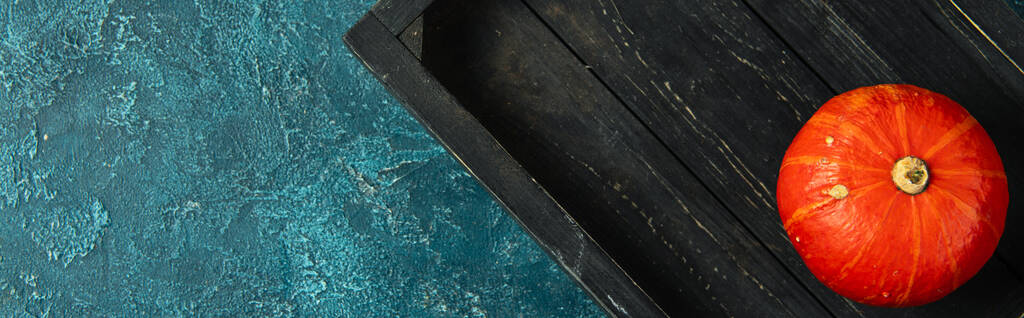 conceito de ação de graças, abóbora laranja colorida em bandeja de madeira preta na superfície texturizada azul - Foto, Imagem