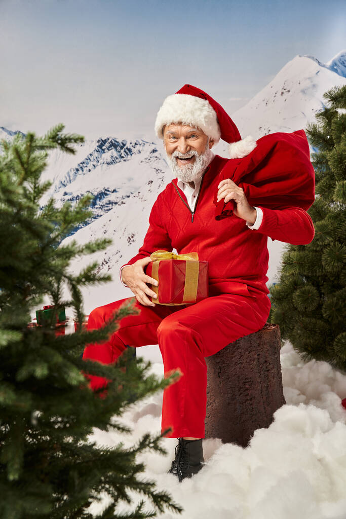 hilpeä Joulupukki läsnä laukku ja lahja istuu kanto vieressä havupuut, talvi käsite - Valokuva, kuva