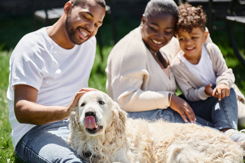 Familienmomente fröhlich afrikanisch-amerikanischer Eltern und Sohn lächelnd auf Rasen sitzend und Hund streichelnd - Foto, Bild