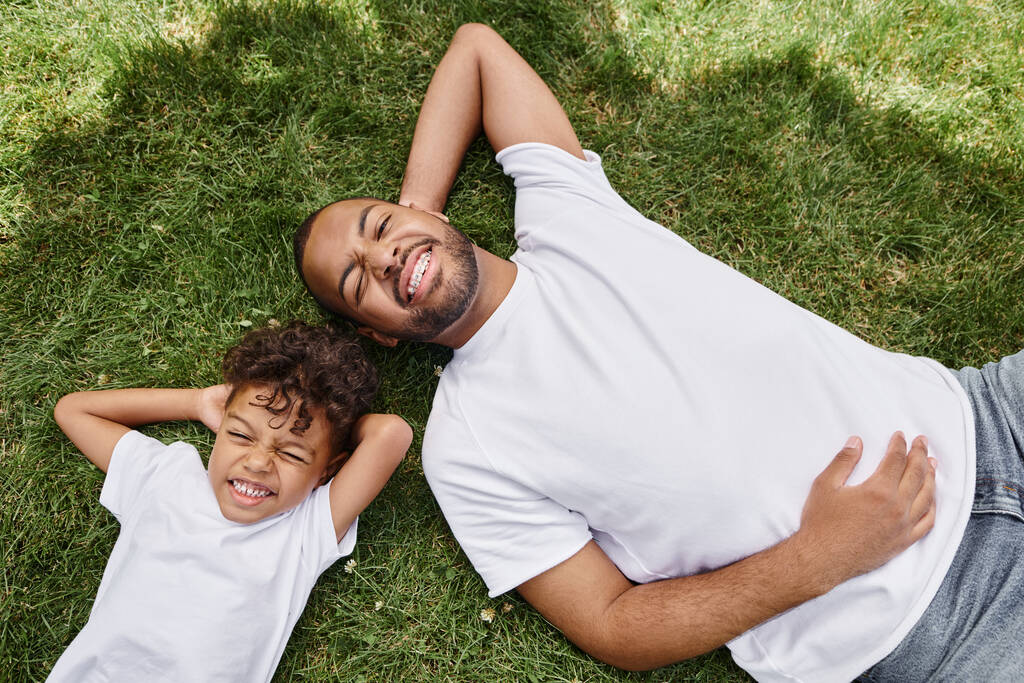 裏庭に緑の芝生に横たわる陽気なアフリカ系アメリカ人の父親と息子のトップビュー,家族写真 - 写真・画像