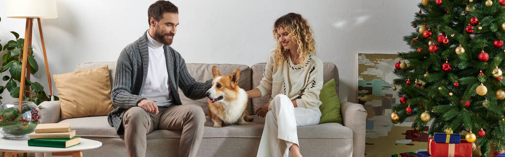 щаслива пара сидить на дивані і пудингу Коргі собака біля ялинки і подарунків, банер - Фото, зображення