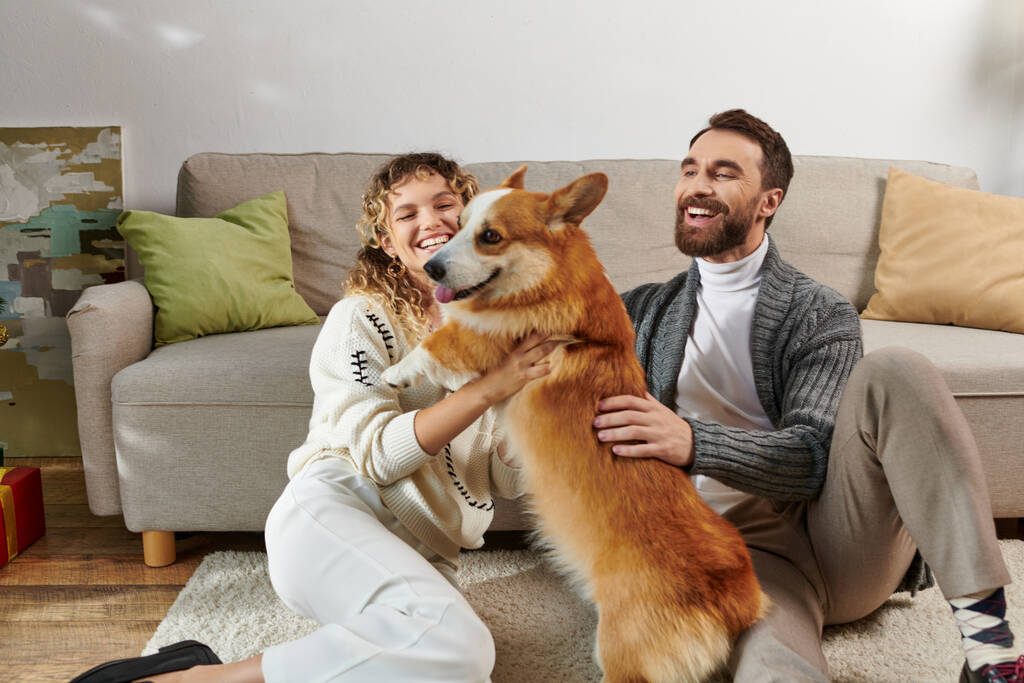 alegre hombre y mujer sonriendo y jugando con lindo perro corgi en apartamento moderno, momentos felices - Foto, imagen