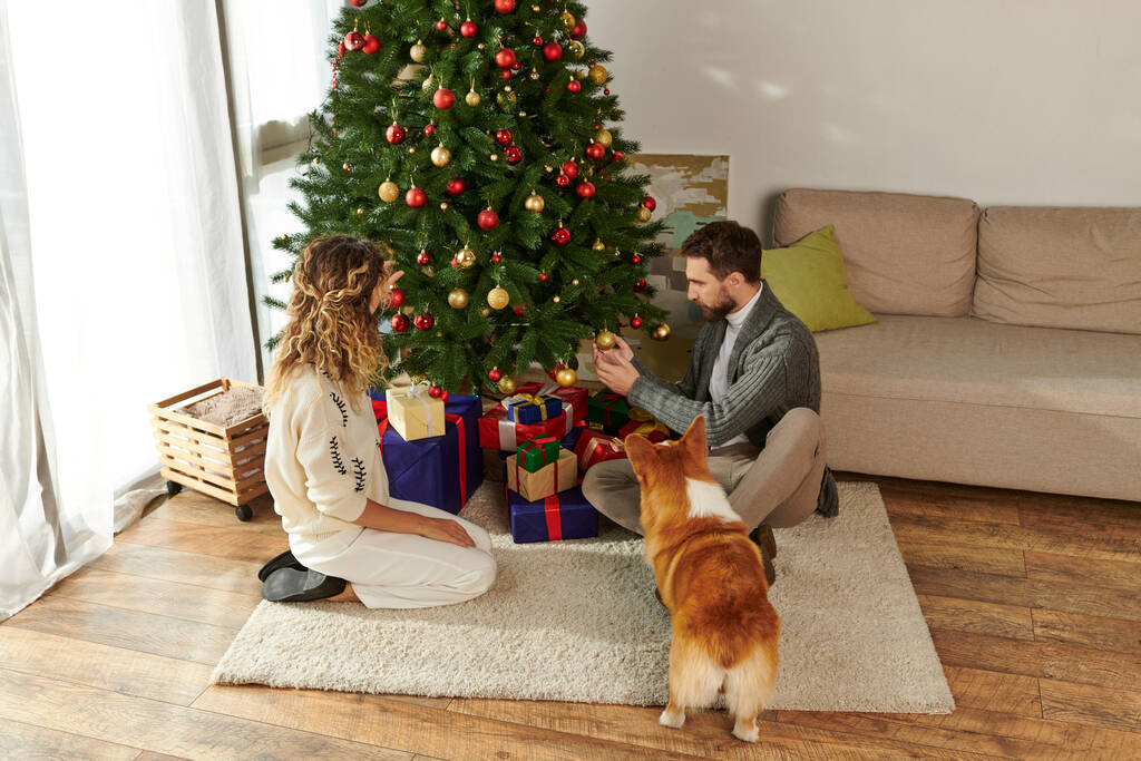 gelukkig paar in de winter kleding versieren kerstboom in de buurt verpakt cadeautjes en corgi hond - Foto, afbeelding