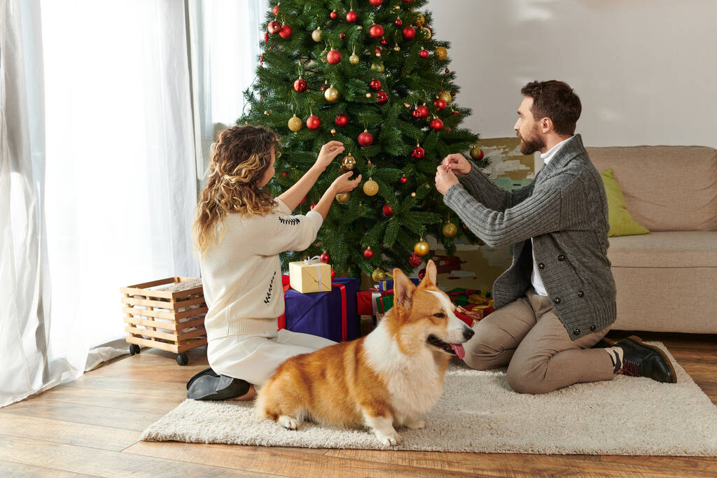 χαρούμενο ζευγάρι σε χειμερινά ρούχα διακόσμηση χριστουγεννιάτικο δέντρο με μπιχλιμπίδια κοντά δώρα και corgi σκυλί - Φωτογραφία, εικόνα