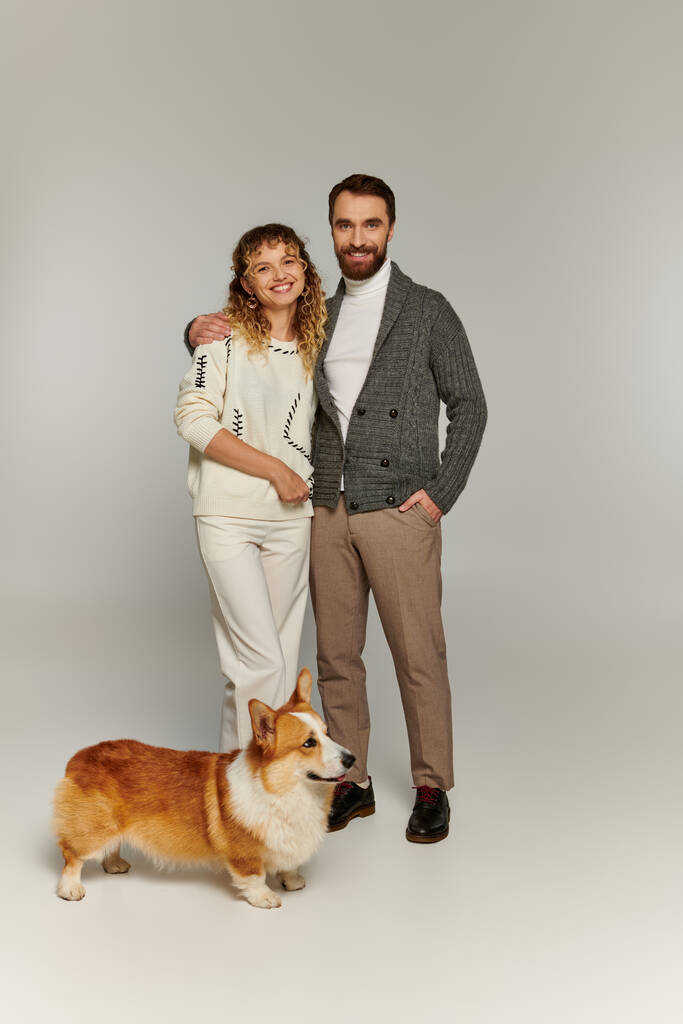 allegra coppia in abbigliamento invernale sorridente e in posa con simpatico cane corgi su sfondo grigio - Foto, immagini