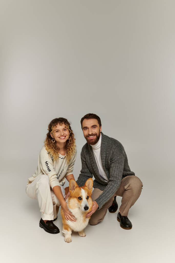 heureux homme et femme en tenue d'hiver souriant et assis avec chien corgi mignon sur fond gris - Photo, image