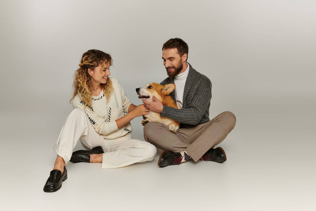 wesoły mężczyzna i kobieta w stroju zimowym uśmiecha się i gra z cute corgi dog na szarym tle - Zdjęcie, obraz