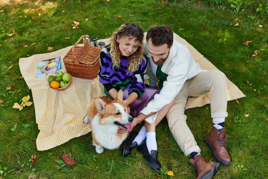 vrchol pohled na veselý pár s piknik a mazlení roztomilý corgi pes na zelené lawn v parku - Fotografie, Obrázek