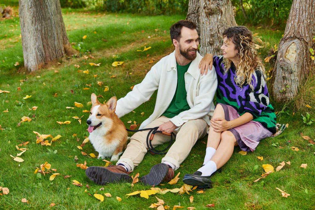 gelukkig man op zoek naar krullende vrouw in leuke outfit zitten in de buurt van boom met corgi hond in de herfst park - Foto, afbeelding
