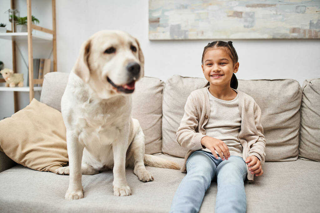 menina feliz sentada no sofá confortável com labrador bonito na sala de estar moderna, companheiro animal - Foto, Imagem