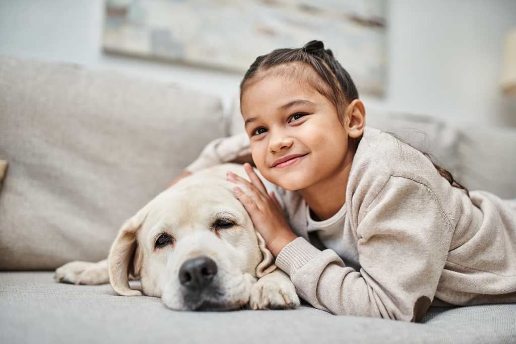 portrait of happy girl smiling near cute labrador in modern living room, domestic animal and kid - Photo, Image