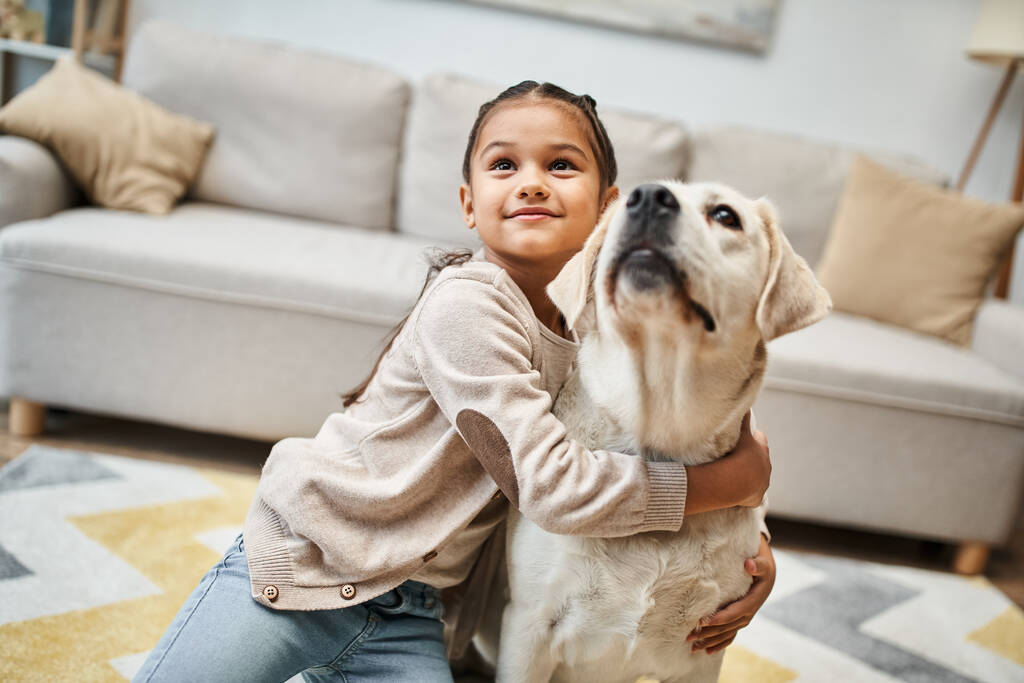 onnellinen söpö alkeis-ikäinen tyttö etsii ylös ja halaus labrador modernissa asunnossa, lemmikki ja lapsi - Valokuva, kuva