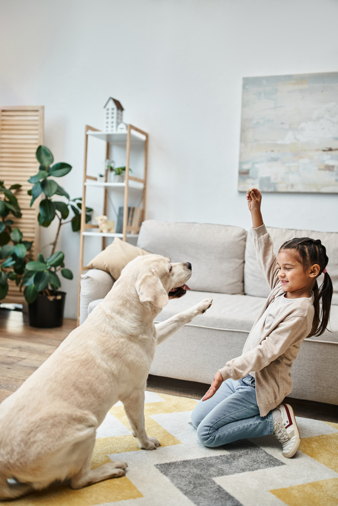 alkeis-ikäinen tyttö hymyilee ja leikkii labradorin kanssa modernissa olohuoneessa, lapsi antaa hoitoon koiralle - Valokuva, kuva