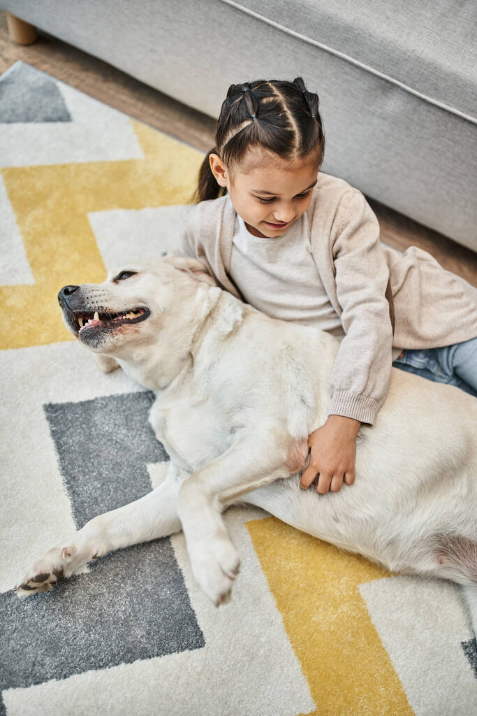 positief meisje in casual kleding glimlachen en strelen hond in moderne woonkamer, kind en labrador - Foto, afbeelding
