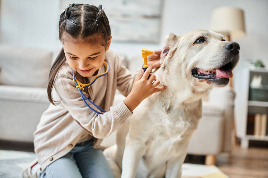 glückliches Kind in Freizeitkleidung spielt Arzt mit Labrador im modernen Wohnzimmer, Spielzeug-Stethoskop - Foto, Bild