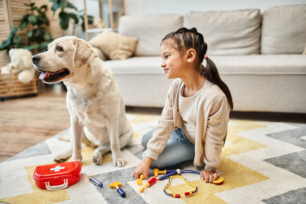 happy girl in casual attire playing doctor with labrador in modern living room, toy first aid kit - Photo, Image