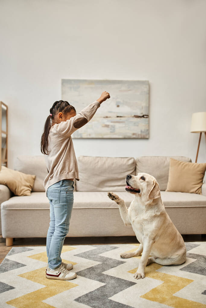 dziewczyna w casual nosić szkolenia labrador w nowoczesnym salonie, dziecko daje uczta podczas nauczania psa - Zdjęcie, obraz