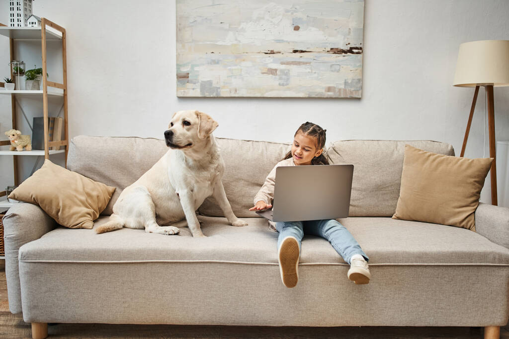 roztomilý elementární věk dívka sedí na pohovce a pomocí notebooku v blízkosti labrador v moderním obývacím pokoji - Fotografie, Obrázek