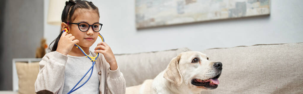 chica feliz en ropa casual y anteojos jugando doctor con perro labrador en sala de estar, pancarta - Foto, Imagen