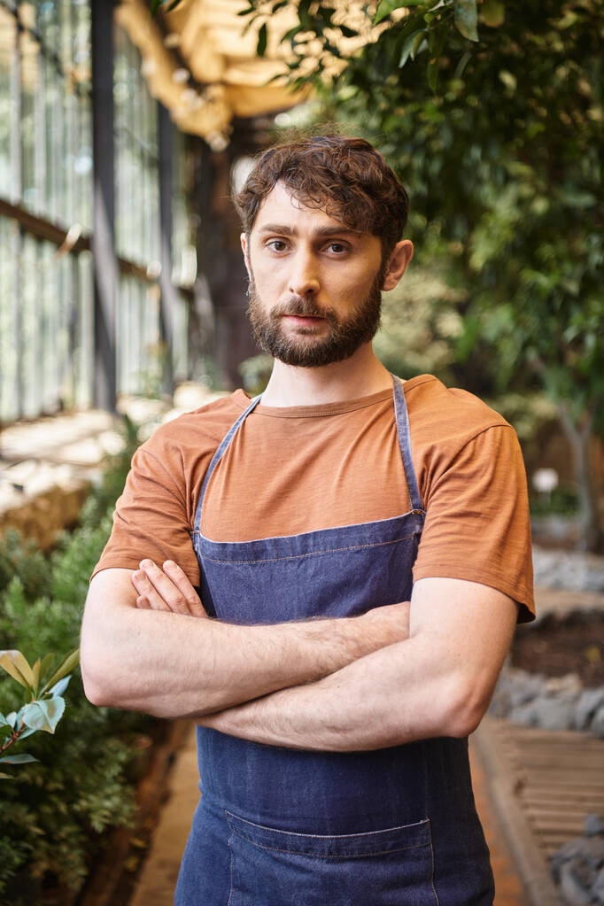 Mavi kot önlüklü yakışıklı ve sakallı bahçıvan serada çapraz kollarıyla duruyor. - Fotoğraf, Görsel