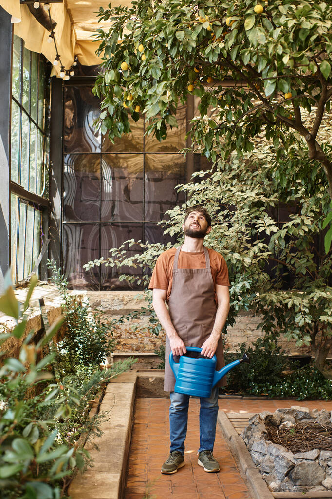 hermoso jardinero barbudo en delantal de mezclilla que sostiene regadera cerca de árboles y plantas en invernadero - Foto, Imagen